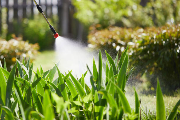 24/7 Emergency Mosquito Control experts in Coronado, CA