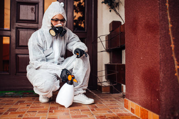 Reliable Mosquito Control contractor in Coronado, CA by Show Me Pest Control
